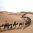 camel-trekking-in-morocco
