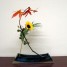 art-florl-japonais-par-nicole-chesneau-ikebana-provence-verte
