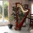 harpe-de-concert-47-cordes-double-mouvement-table-large
