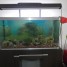 aquarium-320-l
