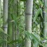 huile-de-finition-pour-plancher-en-bois-de-bambou