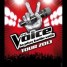 the-voice-tour-2013-3-juillet-palais-nikaia-nice