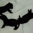chiots-males-bedlington-terrier