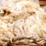 pourquoi-un-oreiller-de-laine-facile