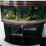 aquarium-bombe-250-litres