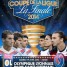 place-billet-finale-coupe-de-la-ligue-psg-lyon-0626326565