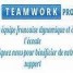 the-teamwork-project-le-nouveau-reseau-qui-cartonne