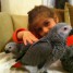 a-donner-en-toute-urgence-notre-adorable-perroquet-gris-du-gabon