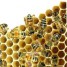 cire-d-abeille-purifiee-200-gr