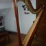 harpe-classique-salvi-daphnee-47s