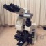 olympus-bx51tf-microscope