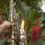 saxophone-alto-927041-selmer-bundy-etats-unis-teste-1984-bon