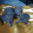 4-males-chatons-chartreux