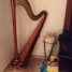harpe-d-etude-lounatcharkovo-46-cordes
