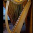 harpe-celtique-30-cordes-v-alfaric-occasion
