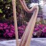 harpe-celtique-lyonandhealy-neuf