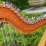 harpe-paraguayenne-amerique