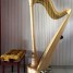 belle-harpe-camac-athena-47-cordes-etat-neuf