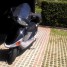 scooter-honda-bali-50
