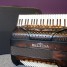 beltuna-spirit-iv-p-120-luxe-cassotto-accordeon