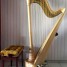 superbe-harpe-camac-athena-47-cordes-etat-neuf