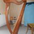 harpe-celtique