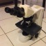 microscope-nikon-eclipse-50-i