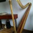 harpe-erard-gothique