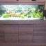 aquarium-400-meuble-2-pompes-externe