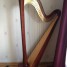 harpe-salvi-occasion