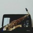 saxophone-alto-yamaha-yas-275-en-bon-etat
