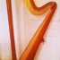 harpe-salvy-44-cordes