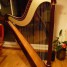harpe-camac-clio-simple-mouvement-44-cordes
