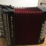 accordeon-weltmeister-professionnel