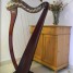 harpe-celtique-camac-36-cordes-en-boyau