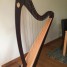harpe-celtique-lyon-and-healy