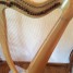 harpe-celtique-pilgrim-clarseach