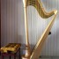 harpe-camac-athena-47-cordes-etat-neuf-superbe