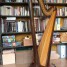 harpe-daphne-salvi-40-cordes