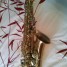 saxophone-professionnel-gb-ala-689-m-neuf-neuf