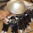 magnifiques-chiots-beagle-pure-race