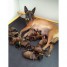 chiots-berger-malinois-pedigree-st-hubertv