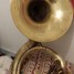 sousaphone-olds