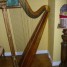 harpe-erard-47-cordes