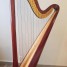 vend-harpe-salvi-daphne-s-47-cordes-en-excellent-etat-occasion