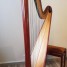 harpe-salvi-daphne-s-47-cordes-2010-excellent-etat