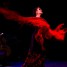prestations-animations-de-flamenco-a-paris-particuliers-mariages-entreprises