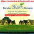 we-sell-investment-company-with-736-ha-in-danube-delta-romania