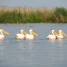 investment-736ha-land-for-tourism-aquaculture-and-agriculture-in-the-danube-delta-romania-europe