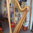 harpe-de-concert-venus